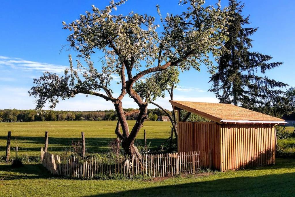 Ferienwohnung Alte Schule Chorin Schorfheide Εξωτερικό φωτογραφία